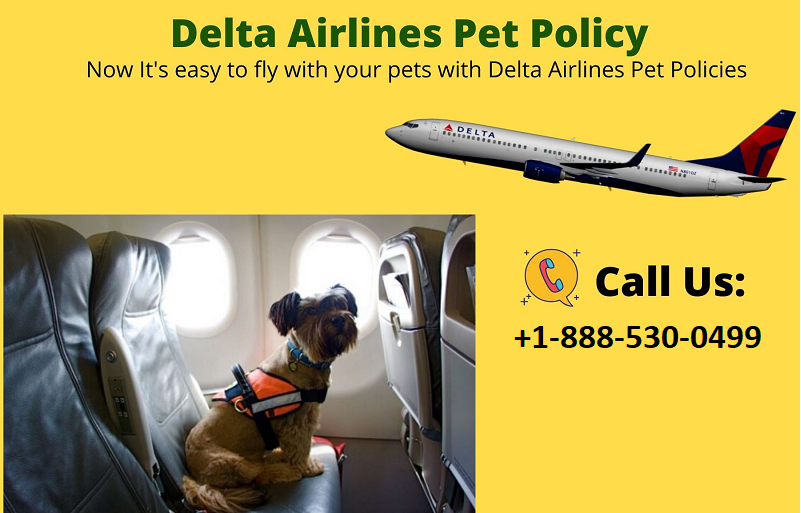 delta pet travel number
